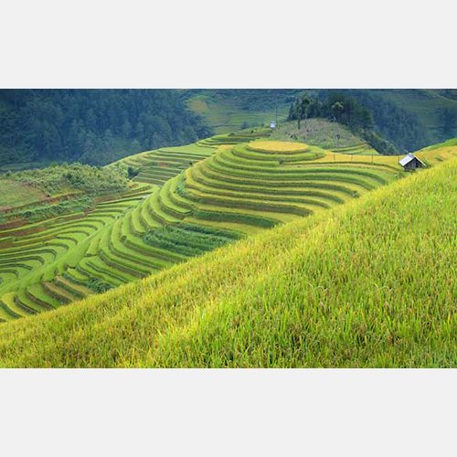 Liên Khúc Nhạc Sống Quan Họ