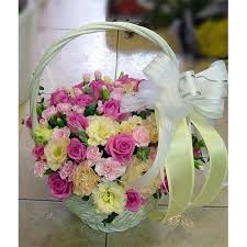 Nhạc Sống Vùng Cao